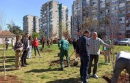 Zajednička akcija zasađivanja stabala lipe, breze i javora u parku u kvartu kod bolnice