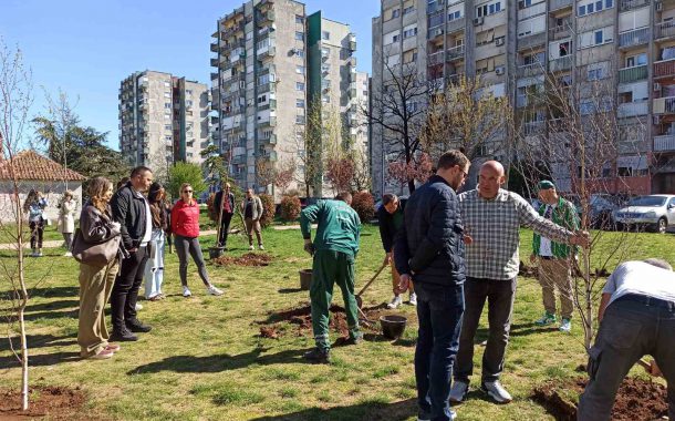 Zajednička akcija zasađivanja stabala lipe, breze i javora u parku u kvartu kod bolnice