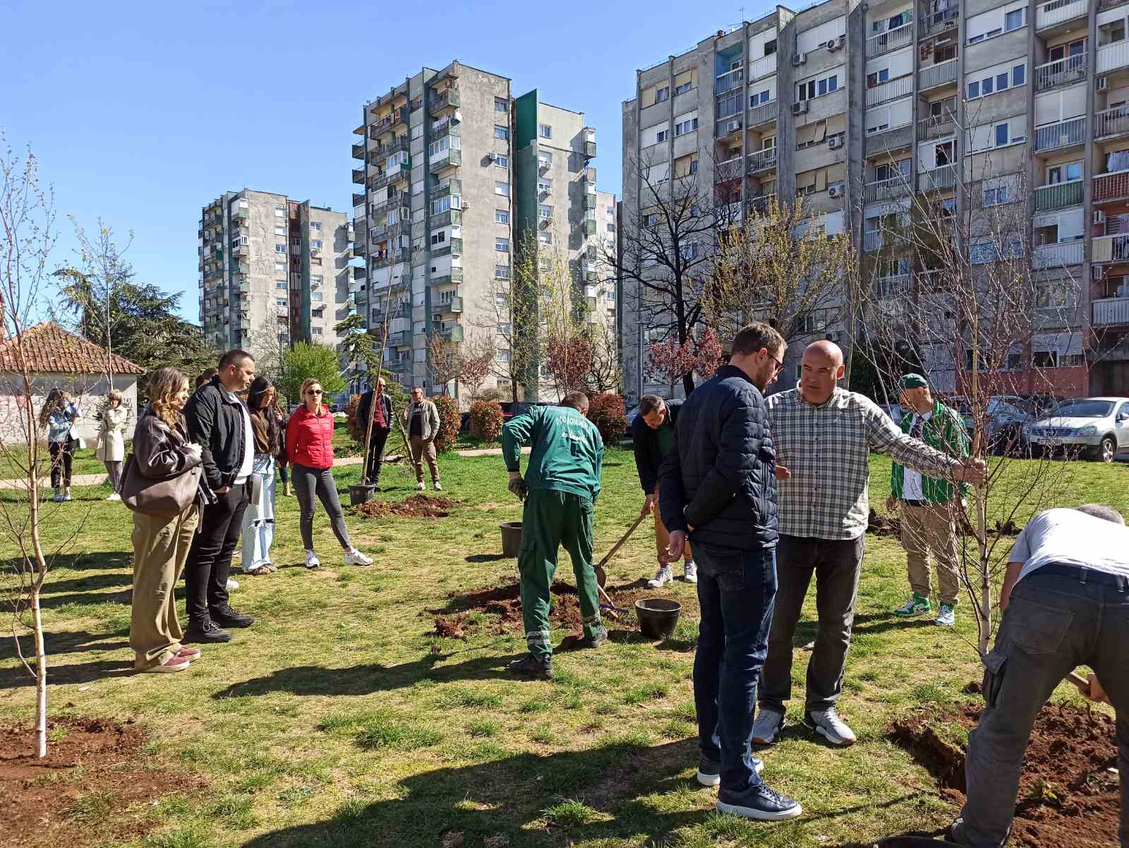Zajednička akcija zasađivanja stabala lipe, breze i javora u parku u kvartu kod bolnice